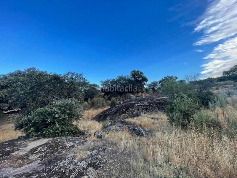 Foto aae2ae02-35c7-4674-8b03-4ff82a79c062. Finca rústica a Aldea del Cano