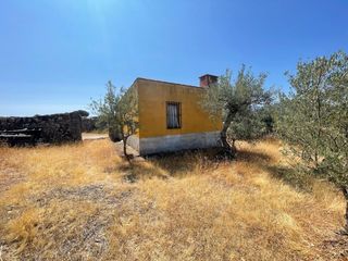 Fondo rustico in Valdefuentes