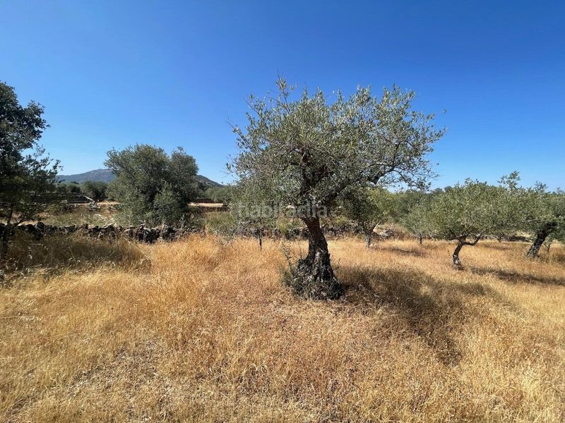 Foto 3bdd9d4e-94aa-4d89-a279-98830e622448. Finca rústica a Valdefuentes