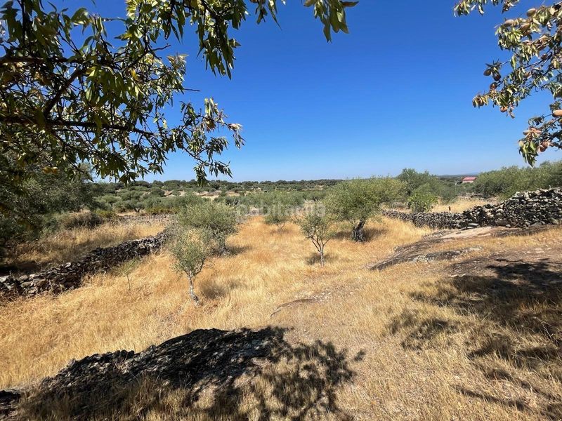 Foto c1a7f970-ea2f-4c22-b0b3-0231e0b56c15. Finca rústica a Valdefuentes