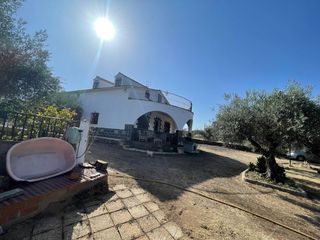 Maison à Alcuéscar. Casa de campo con olivos y 1 hectarea en alcuescar