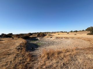 Finca rústica a Malpartida de Cáceres. Terreno rustico en la zafrilla malpartida de cáceres