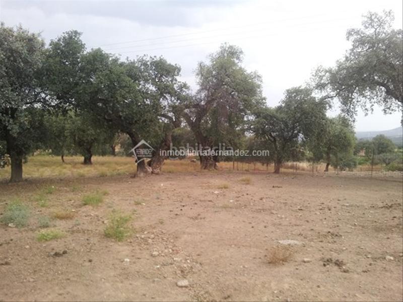 Foto 551f5c1e-b551-46c7-b789-3c55ad845ca6. Casa amb calefacció piscina a Zarza de Montánchez