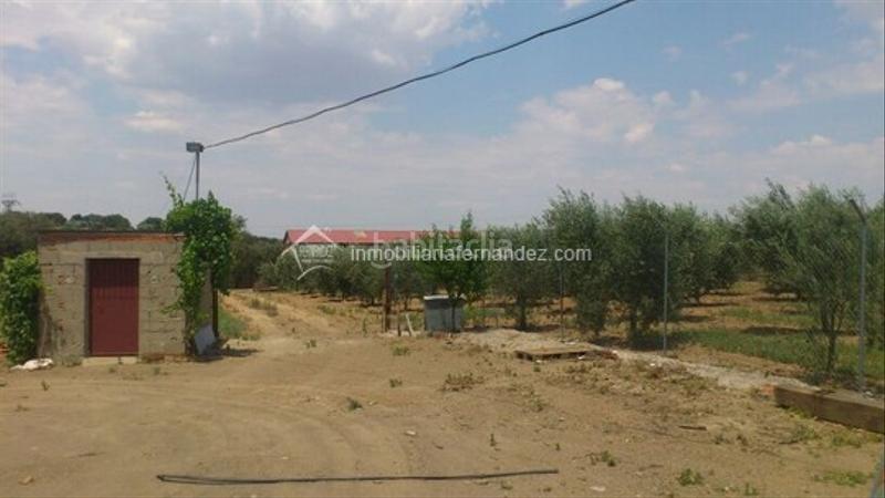 Foto 9129937a-db0d-408c-83f1-06b9cd5dbee9. Casa amb calefacció piscina a Zarza de Montánchez