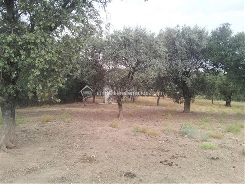 Foto cbb68362-361c-4584-ac0f-4f8f255091ca. Casa amb calefacció piscina a Zarza de Montánchez