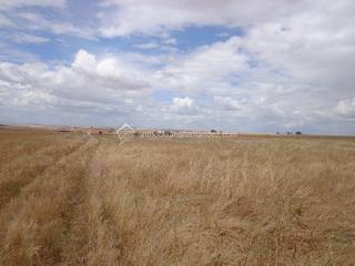 Finca rústica a Valdesalor - Rincón de Ballesteros. Se vende parcela en cordel de merinas