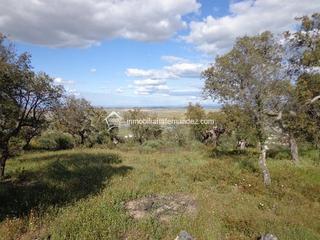 Propriété à Sierra de Fuentes. Preciosa parcela de 4500m2