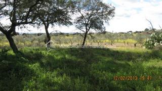 Propriété à Arroyo de la Luz. Se vende parcela de 8.200 m2 vallado, en arroyo de la luz