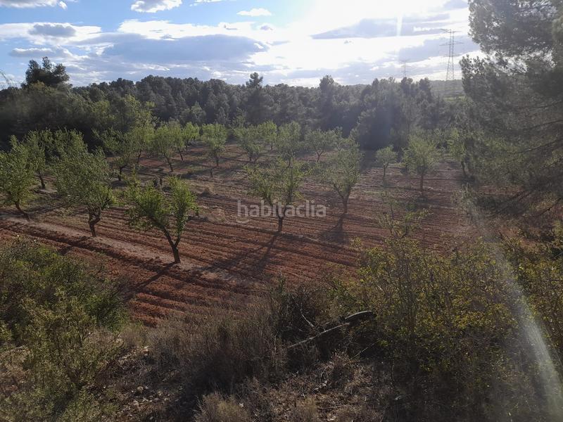 Foto 8a5f0ee7-71d2-46e6-9dd3-b849b99139dc. Finca rústica a Vilosell (El)
