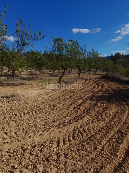Foto a90efe51-9495-48f0-b8cf-5df7760c0283. Finca rústica a Vilosell (El)