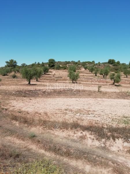 Foto 8d87d594-c874-4594-8ae7-0de4318112c5. Propriété dans Albagés (L´)