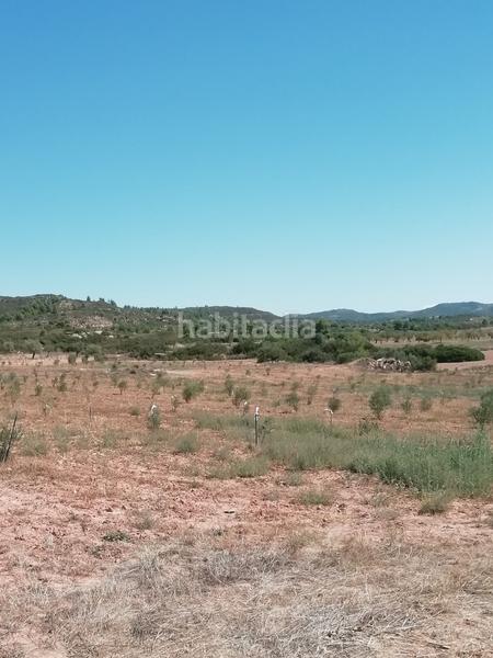 Foto b40d523e-bf9d-4179-8e6f-b418f78c3e0f. Propriété dans Albagés (L´)