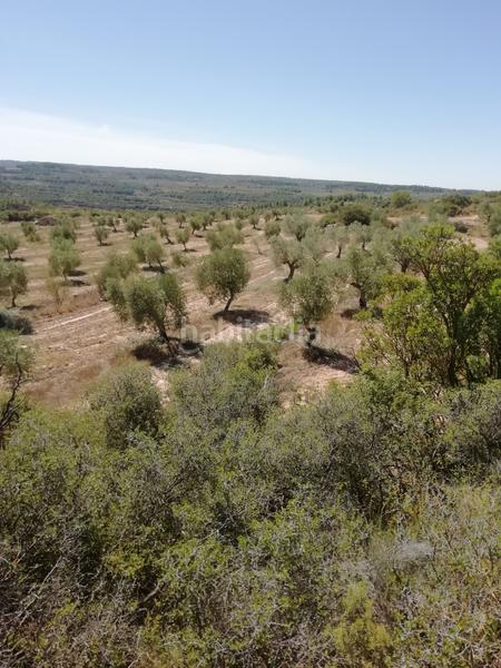 Foto b6cb5c7e-a480-448f-b97e-bedd554d1219. Propriété dans Albagés (L´)