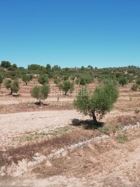 Foto f589825c-1059-4d9c-9d97-090f158f56a9. Propriété dans Albagés (L´)