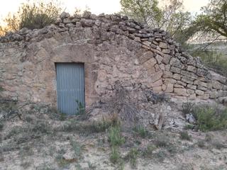 Finca rústica a Albagés (L´). Finca con cabaña y olivos
