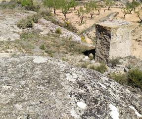 Finca rústica a Cervià de les Garrigues. Finca con agua de riego