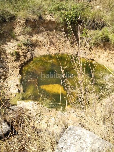 Foto 068c356c-a45d-48f6-bd99-79bc22a09ca6. Finca rústica finca con vivienda en Vinaixa