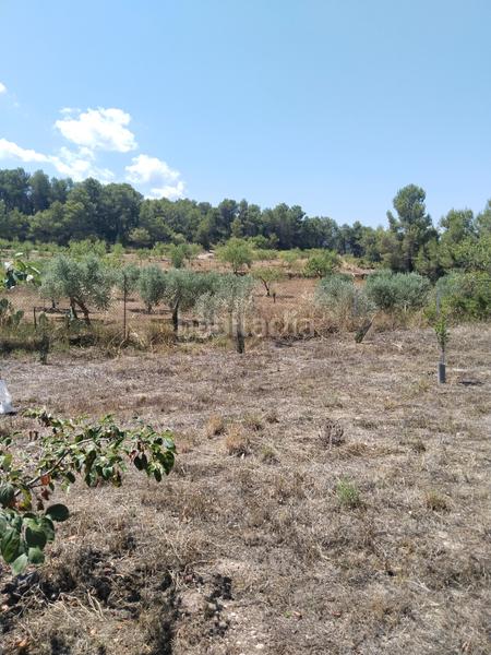 Foto e9326d43-3ef7-4b8a-9fe9-ebedf31c6e3b. Finca rústica finca con vivienda en Vinaixa