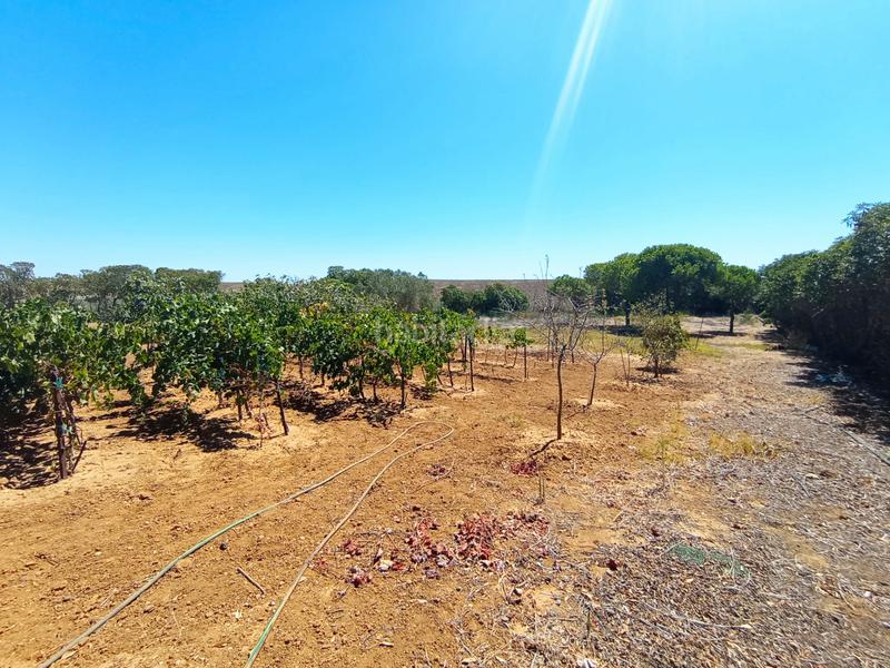 Foto 0b877cb1-f022-465b-8de8-7cc8dece30ef. Casale con camino parcheggio in Las Tres Piedras - Costa Ballena Chipiona