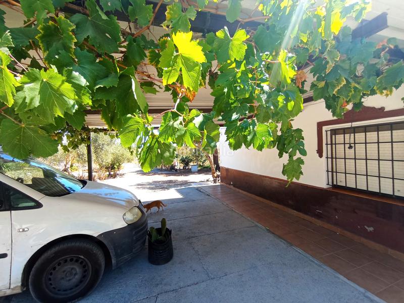 Foto a88b6a48-53ef-4b96-a0e1-7f2843e5b2c9. Casale con camino parcheggio in Las Tres Piedras - Costa Ballena Chipiona