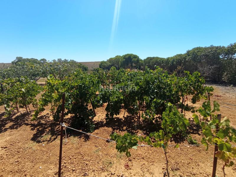 Foto b3b687ec-0e11-4584-bf0c-8762aa648195. Casale con camino parcheggio in Las Tres Piedras - Costa Ballena Chipiona