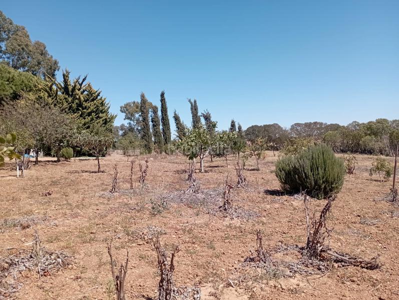 Foto bd811f15-aa33-40b4-8867-3030eedbb59d. Casale con camino parcheggio in Las Tres Piedras - Costa Ballena Chipiona