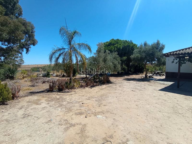 Foto c68455b1-d903-476b-a17f-627671163809. Casale con camino parcheggio in Las Tres Piedras - Costa Ballena Chipiona