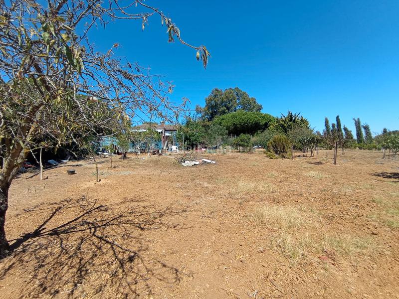 Foto d645f700-4d28-4d7a-90d5-260264047829. Casale con camino parcheggio in Las Tres Piedras - Costa Ballena Chipiona