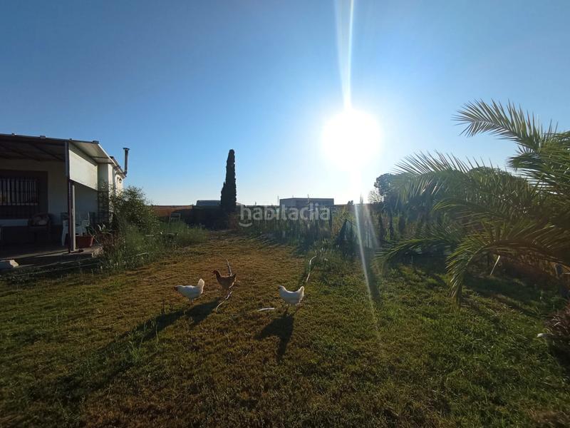 Foto 057c7593-2566-4133-ac91-cdf14ed004eb. Casale in camino los llanos 239s in Chipiona norte Chipiona