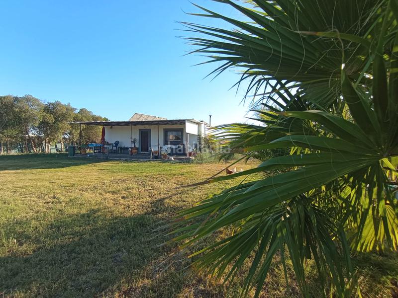 Foto 4192f9d4-26ed-4796-9ad7-b1142b2d5bce. Casale in camino los llanos 239s in Chipiona norte Chipiona