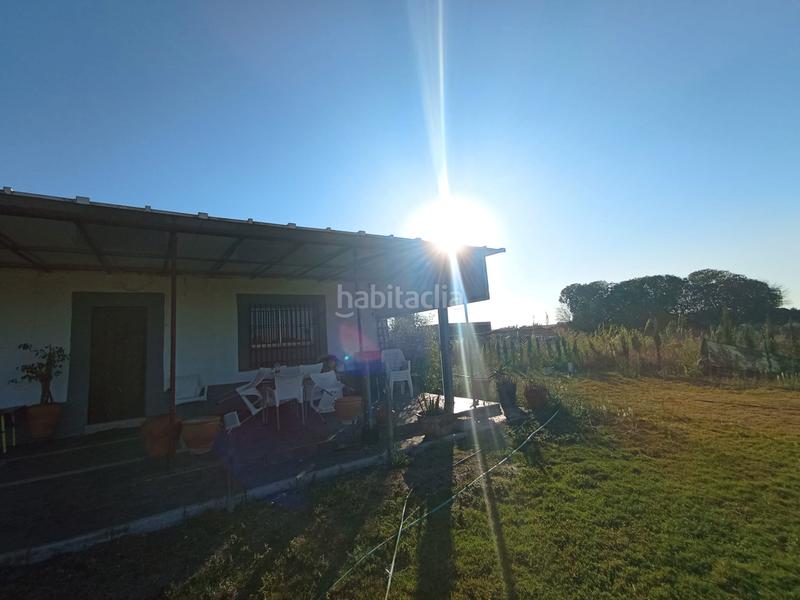Foto c6ad5388-19fd-4592-80eb-2bc0e92d4900. Masia a camino los llanos 239s a Chipiona norte Chipiona