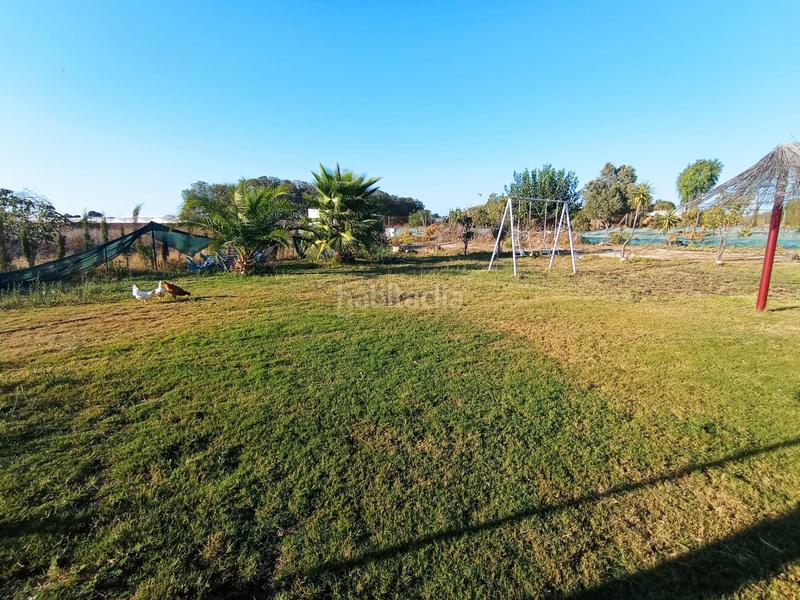 Foto d41b167a-4c36-4e8e-84a8-274d1763028d. Masia a camino los llanos 239s a Chipiona norte Chipiona
