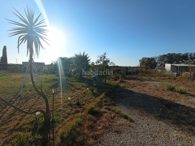 Foto ee368a28-229b-49c4-98bd-020be4ffbadb. Masia a camino los llanos 239s a Chipiona norte Chipiona