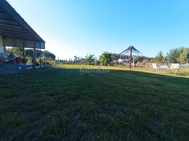 Foto f12018c4-0301-4745-8ead-907b7b53a8c3. Masia a camino los llanos 239s a Chipiona norte Chipiona