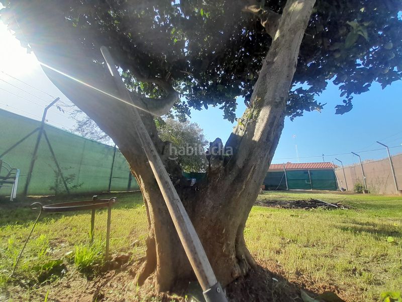 Foto 5d711eea-d482-4273-aedb-a322457820c2. Terreno residencial en Puerto Deportivo Chipiona
