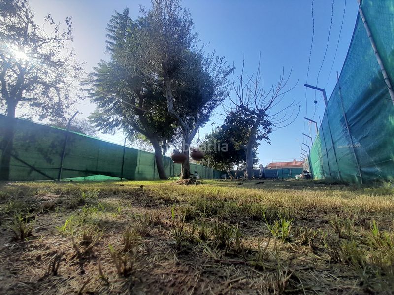Foto d4603bf4-f3c4-46ff-a59c-06e02b918fac. Terreno residencial en Puerto Deportivo Chipiona