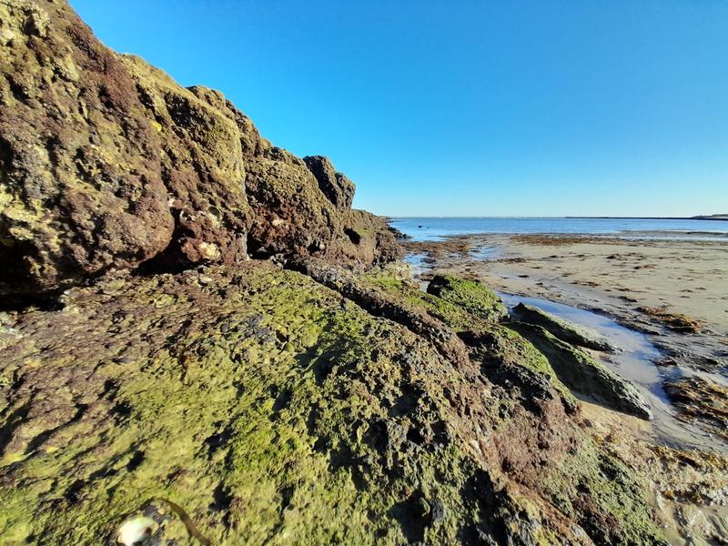 Foto b57b30e6-abc8-4859-a240-80555b1c35e2. Chalet in Puerto Deportivo Chipiona