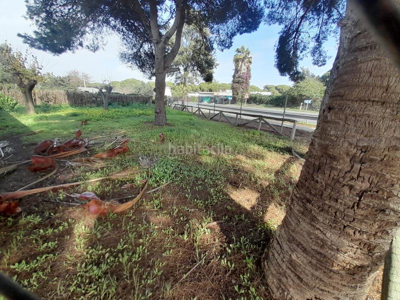 Foto 76eddfd9-a2bd-4da2-aa5d-676fdf187a55. Local comercial en Puerto Deportivo Chipiona