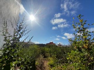 Residential Plot  Av/ rota