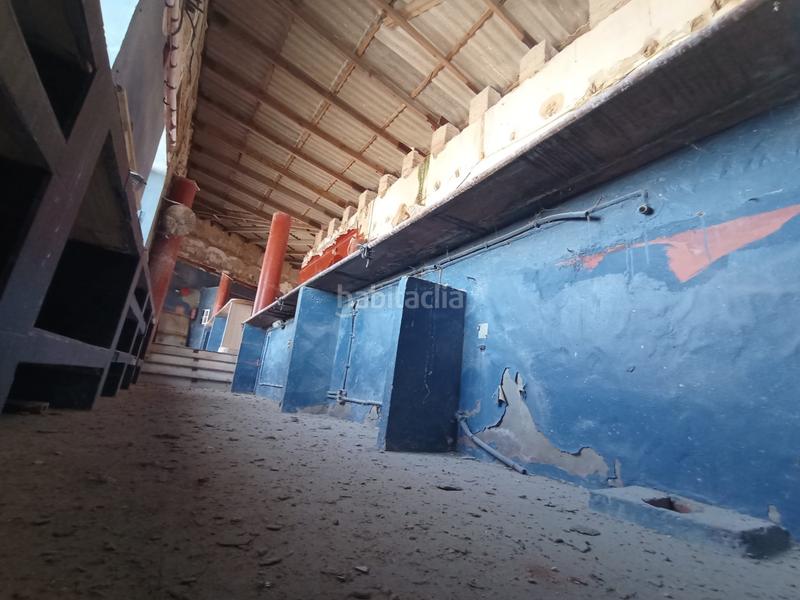 Foto d12d2dbb-cbb5-4544-b41f-ec5a8d024992. Local commercial dans Playa de la Regla Chipiona