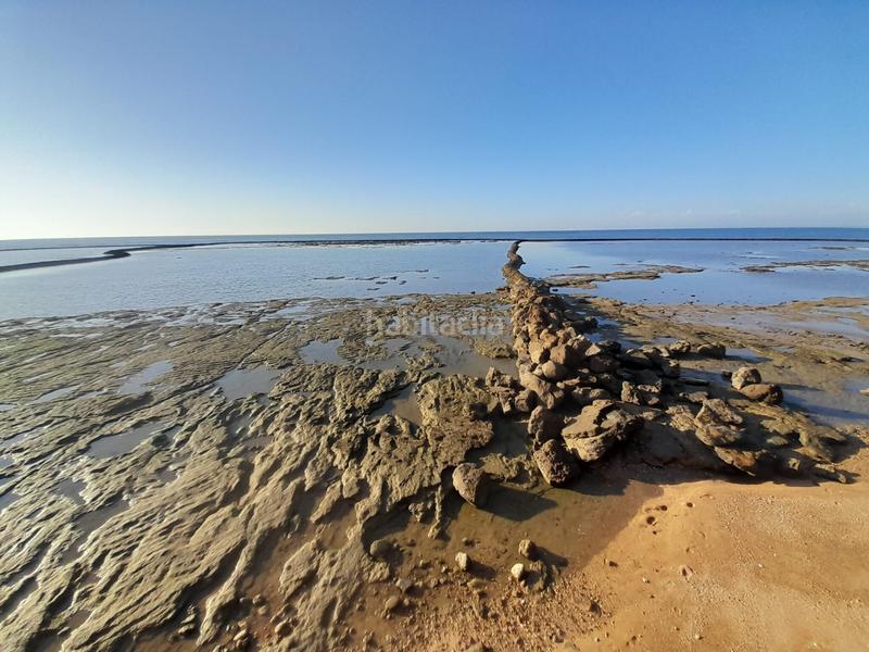 Foto e8b8d111-280b-4dbd-b292-e1f68340d142. Local commercial dans Playa de la Regla Chipiona