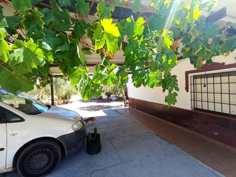 Foto d12020c2-0c9d-4990-8672-544e2241e6c8. Masia amb calefacció a La Laguna Chipiona
