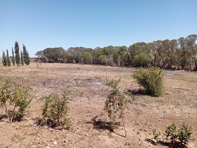 Foto 11b37fca-b538-4473-8255-d370625a8aa5. Bauernhof mit heizung in Puerto Deportivo Chipiona