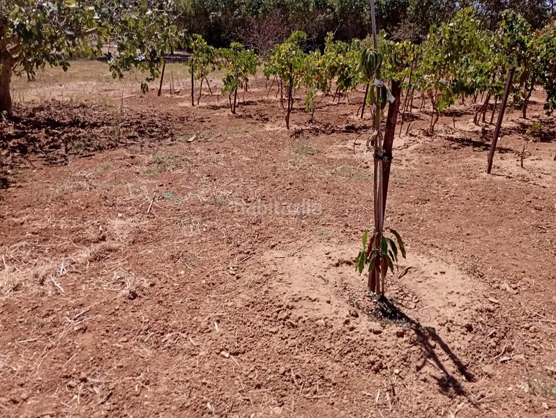 Foto 21320477-048e-41e8-b366-a84de9ffb908. Casale con riscaldamento in Puerto Deportivo Chipiona