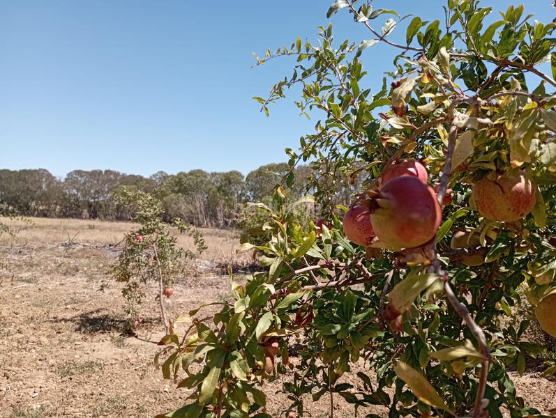 Foto b077c8e6-85a0-4c35-86e5-c8a016167f25. Casale con riscaldamento in Puerto Deportivo Chipiona