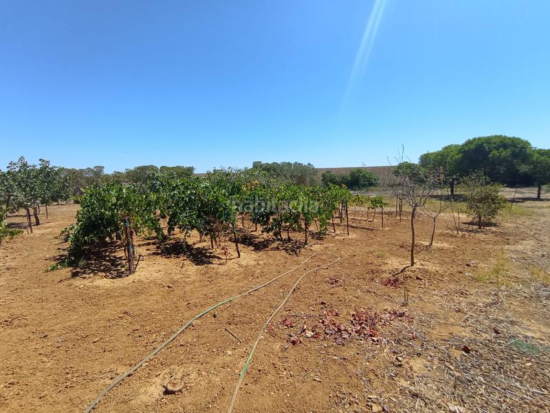 Foto 739a502c-cd14-4d2e-85f9-ff4a78982e6c. Mas avec chauffage dans Puerto Deportivo Chipiona