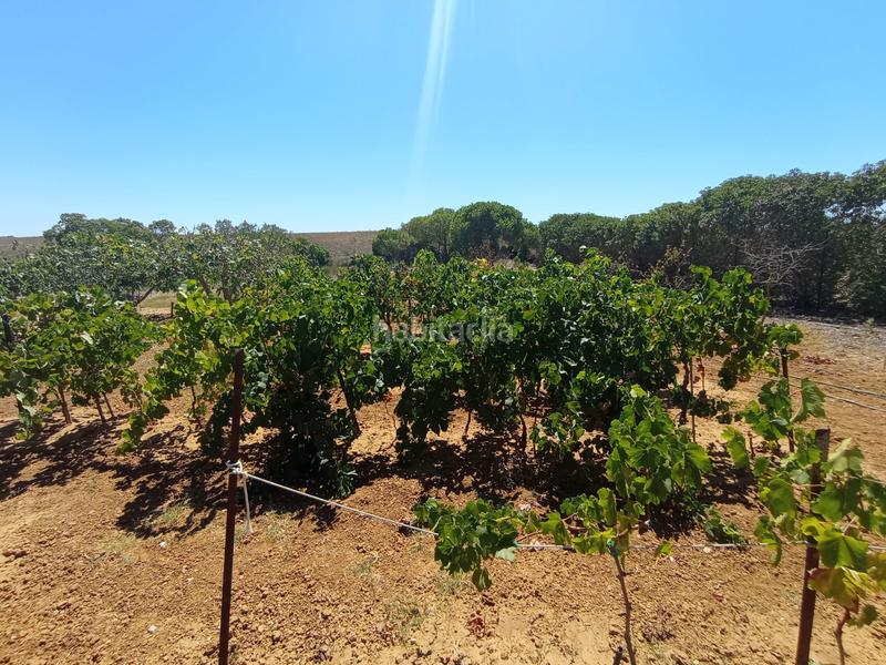 Foto a211fa8e-080e-4724-bb50-c446634776f3. Mas avec chauffage dans Puerto Deportivo Chipiona