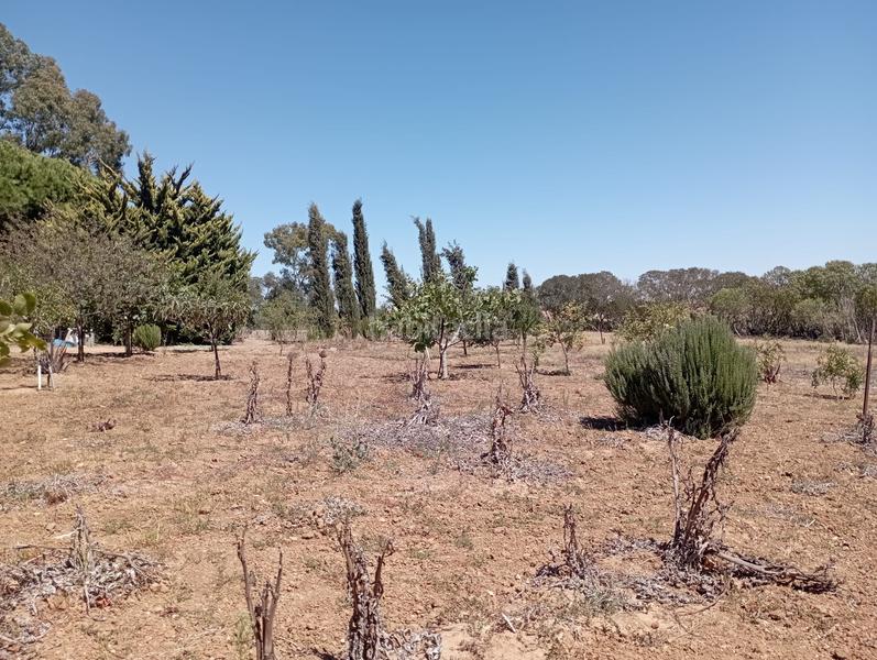 Foto d3cb964b-6584-4fcd-a3ed-4d1cebd54b8f. Mas avec chauffage dans Puerto Deportivo Chipiona