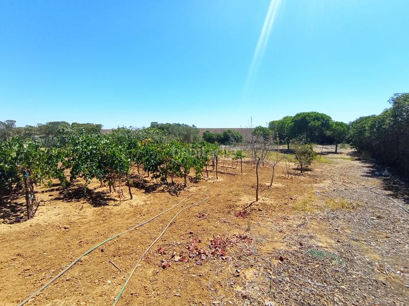 Foto 8c4a4664-0312-4c2a-b1e9-8ef21cbf2412. Masia amb calefacció a Puerto Deportivo Chipiona