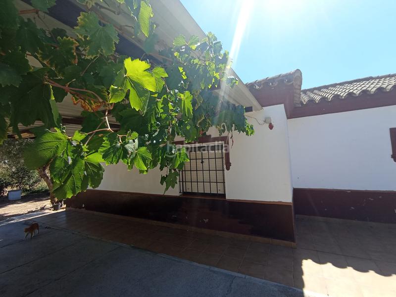 Foto 9ce7eb76-0304-4e26-b0fa-ea31fa9caf44. Masia amb calefacció a Puerto Deportivo Chipiona